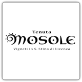 Azienda vinicola Mosole,vendita online di vino