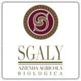 Vendita bag in box e bottiglie vino biologico Sgaly