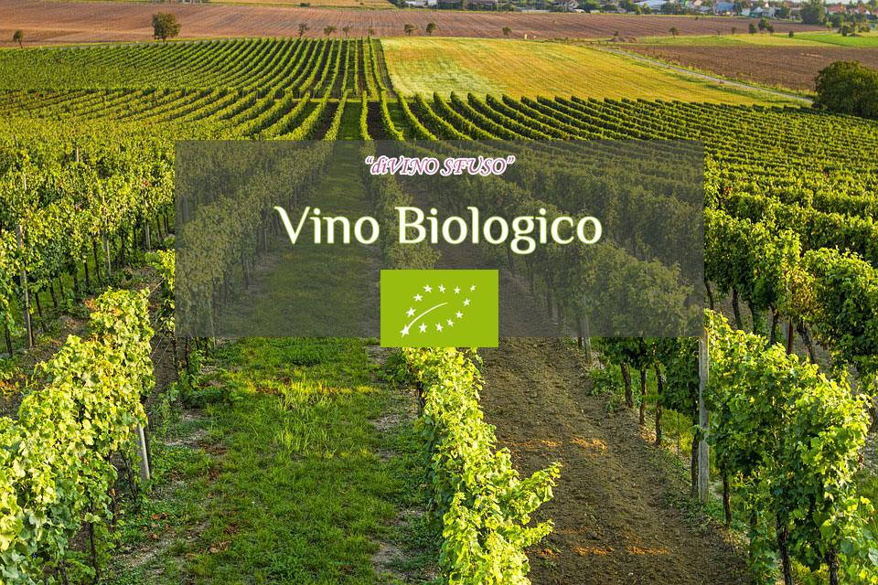 Cosa si intende per vino biologico?