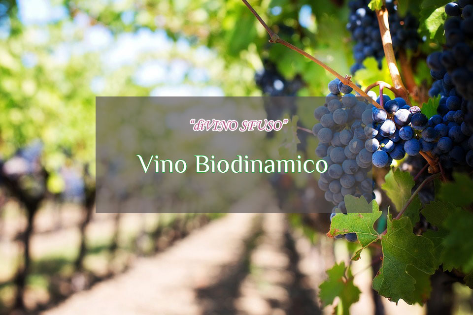 Al momento stai visualizzando Cosa si intende per vino biodinamico?