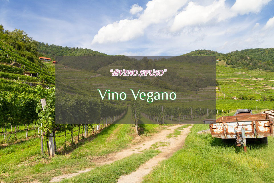 Al momento stai visualizzando Cosa si intende per vino vegano?